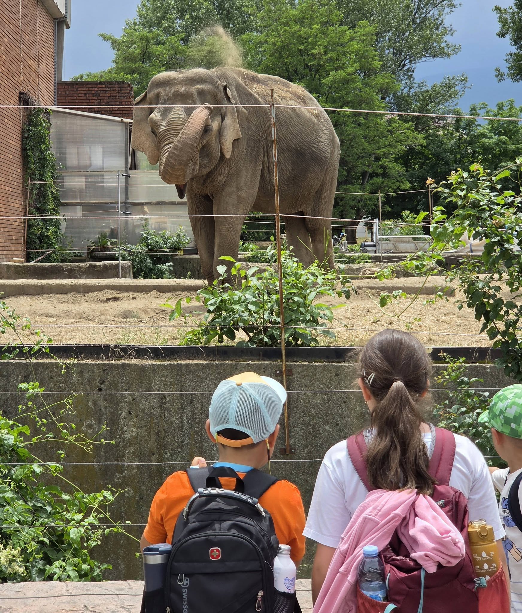 🐘 На гости в [Софийската зоологическа градина] – ден, изпълнен с открития! 🌿🦁