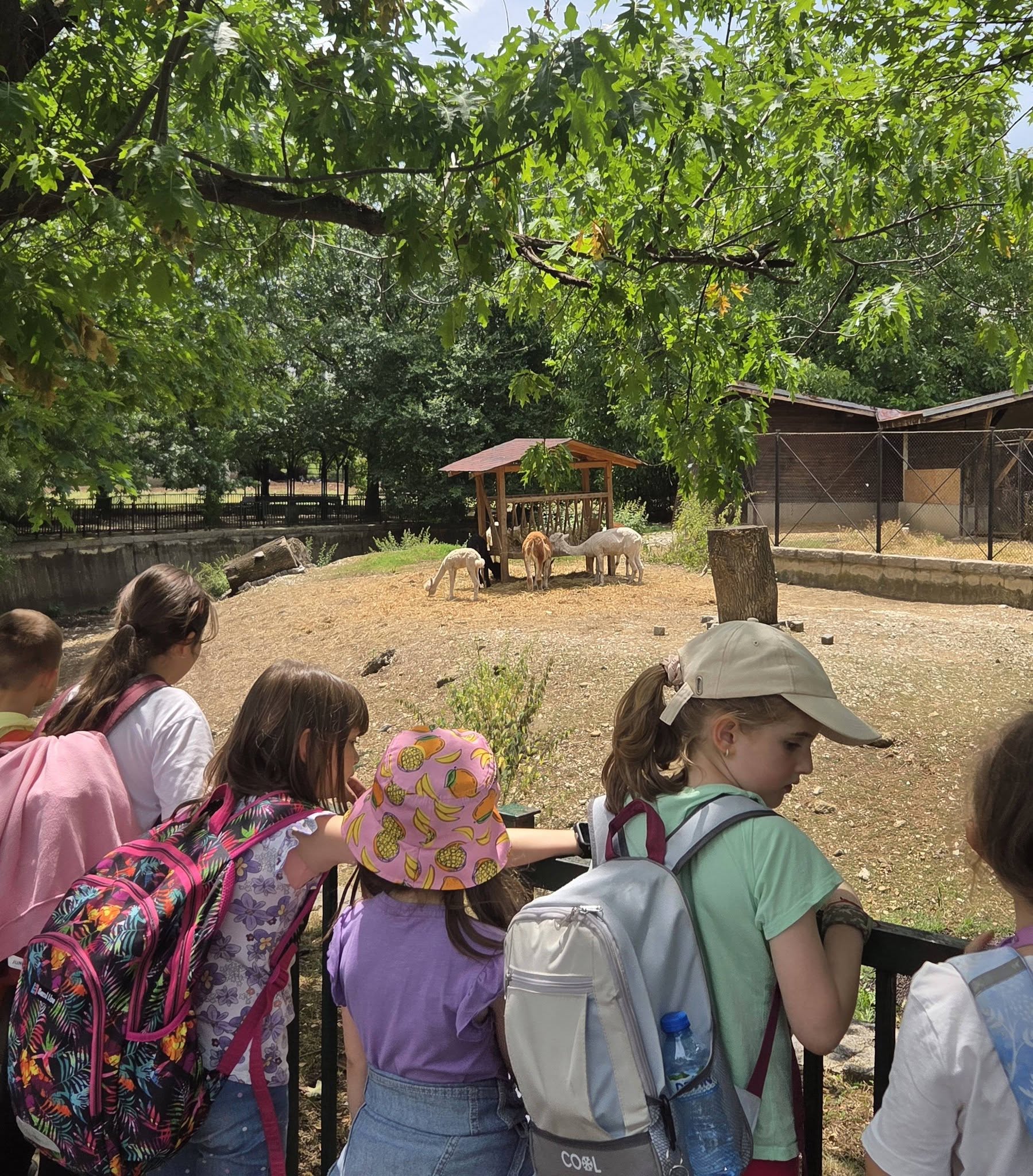 🐘 На гости в [Софийската зоологическа градина] – ден, изпълнен с открития! 🌿🦁
