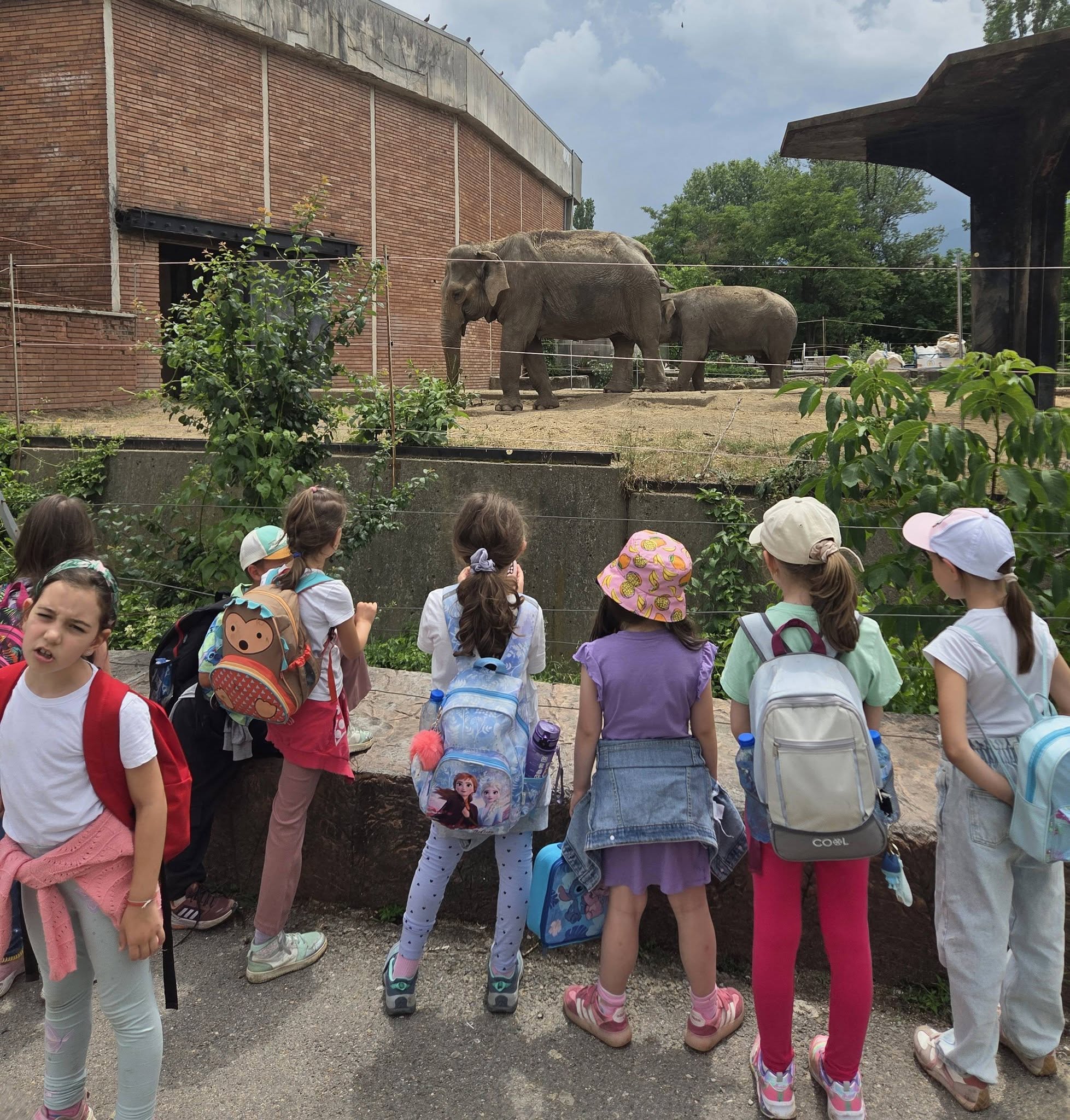 🐘 На гости в [Софийската зоологическа градина] – ден, изпълнен с открития! 🌿🦁