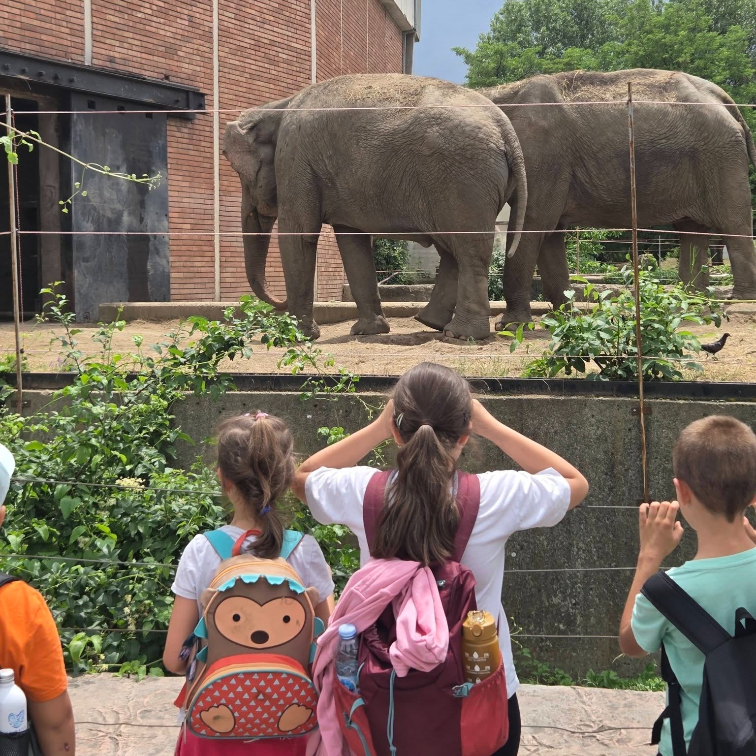 🐘 На гости в [Софийската зоологическа градина] – ден, изпълнен с открития! 🌿🦁